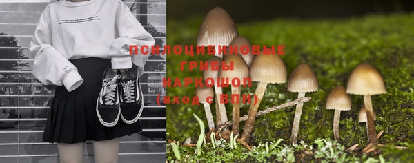 СК Медвежьегорск