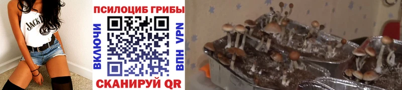 Галлюциногенные грибы мухоморы  Новосибирск 